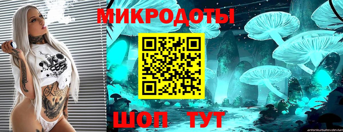 Конаково  Псилоцибиновые грибы MAGIC MUSHROOMS  Псилоцибиновые грибы Magic Shrooms  Вход с VPN 