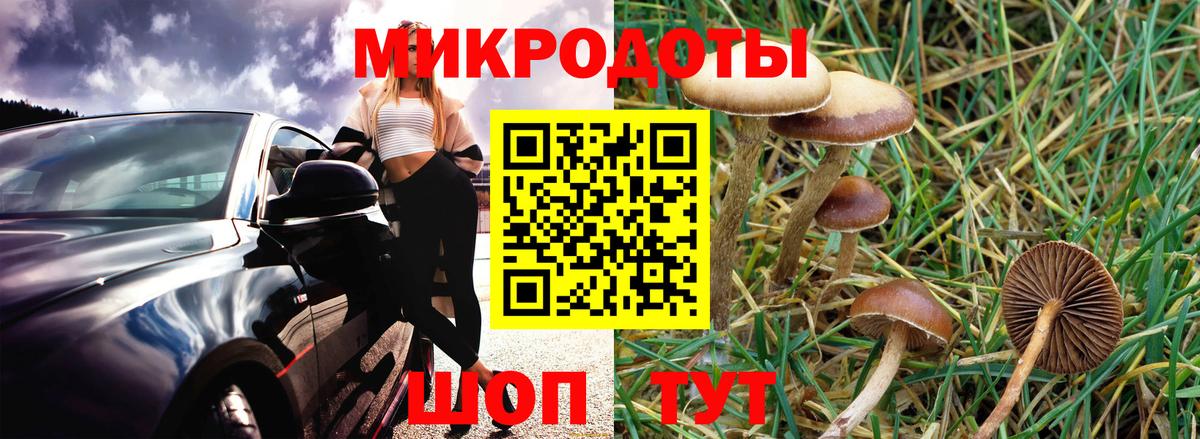 Галлюциногенные грибы Magic Shrooms  Конаково 